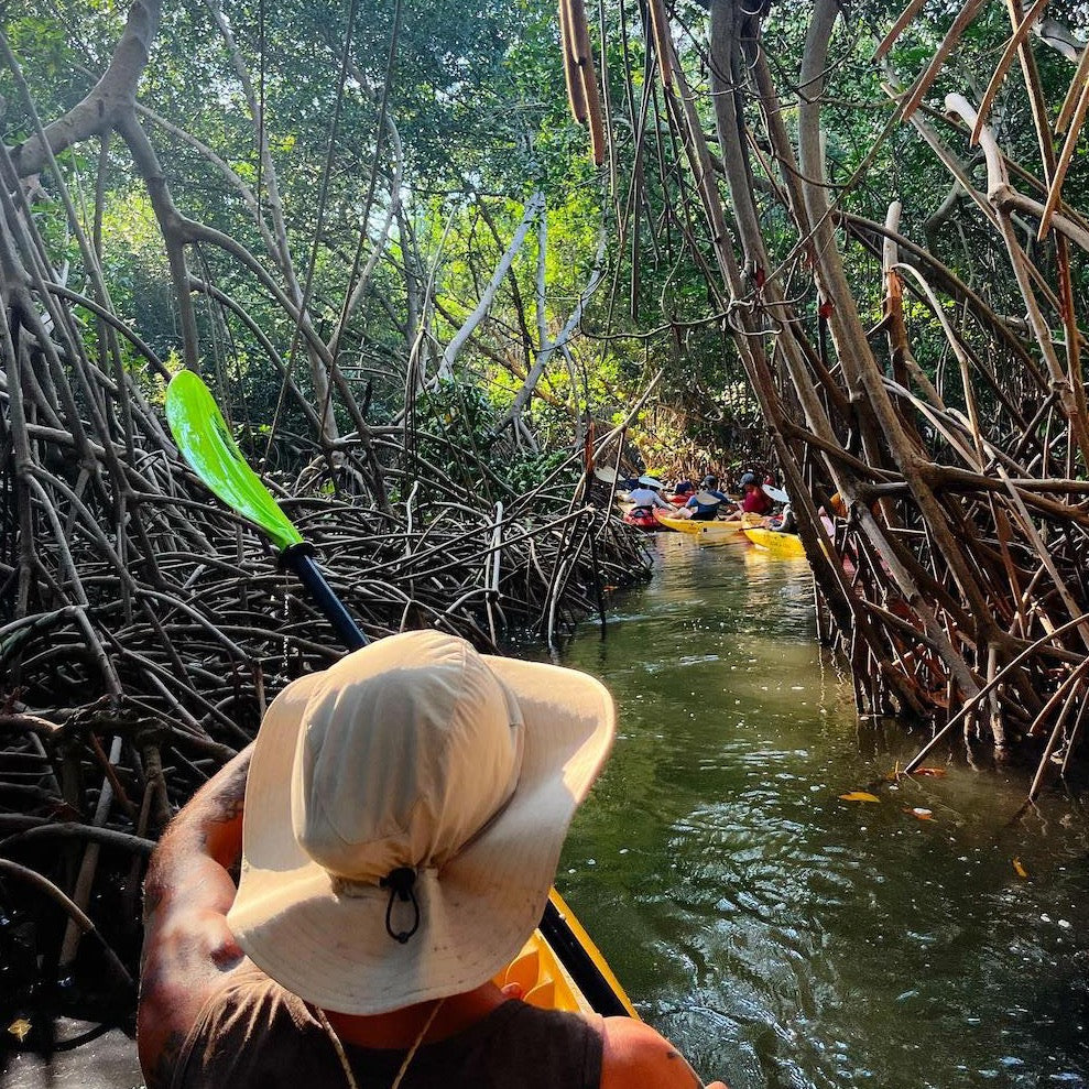 Tour de Tortugas Poza del Nance: 3.5 horas - El Paredón, Guatemala