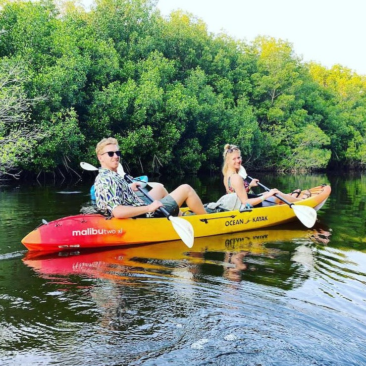 Tour de Tortugas Poza del Nance: 3.5 horas - El Paredón, Guatemala