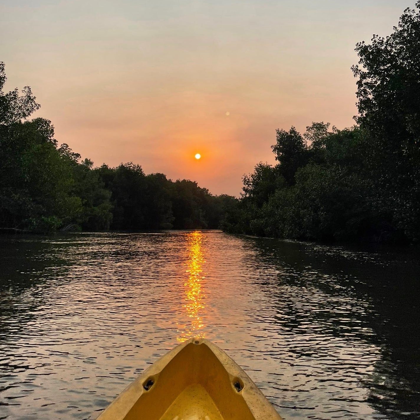 Recorrido de la Desembocadura del Río: 2 Horas - El Paredón, Guatemala