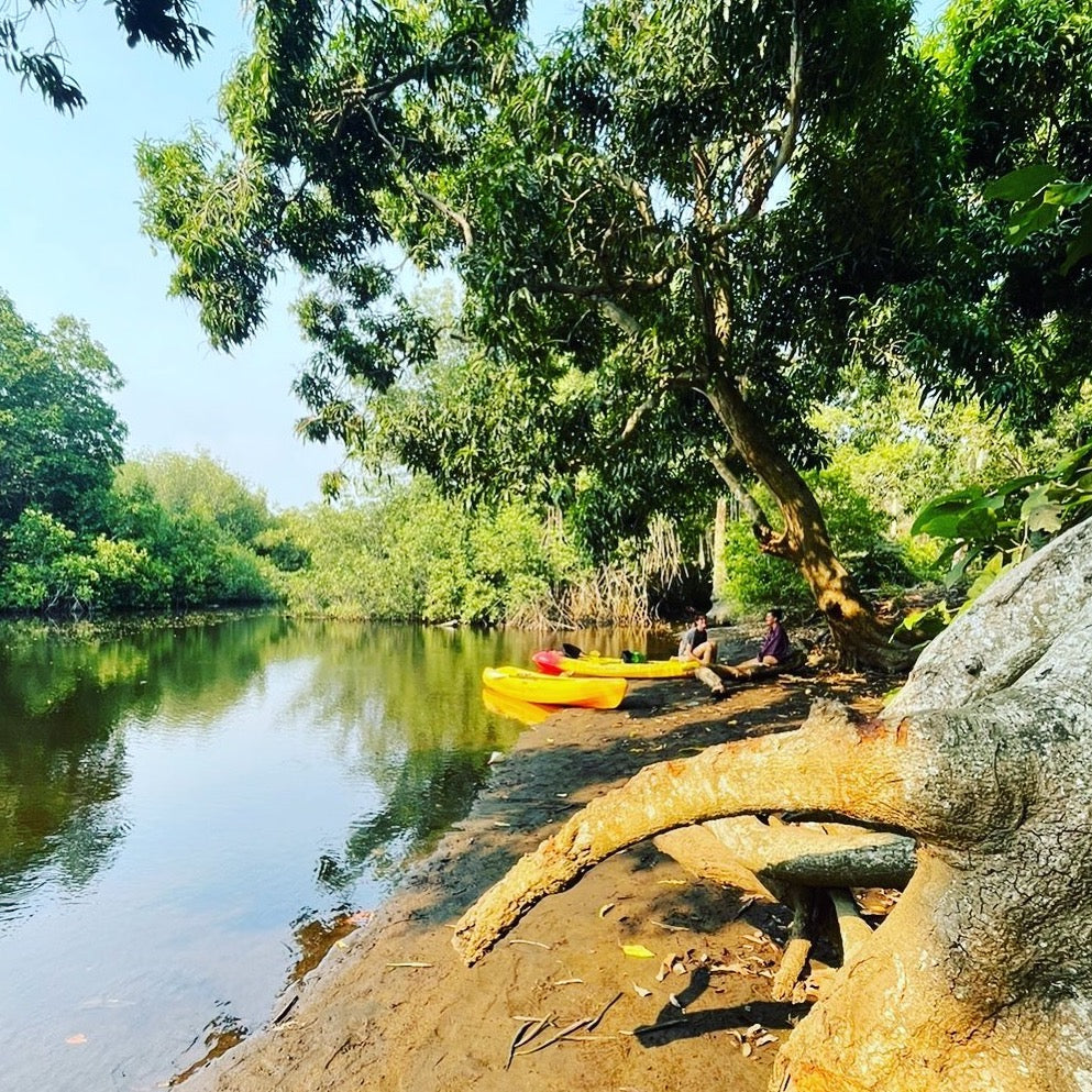 Alquiler de kayaks - El Paredón, Guatemala