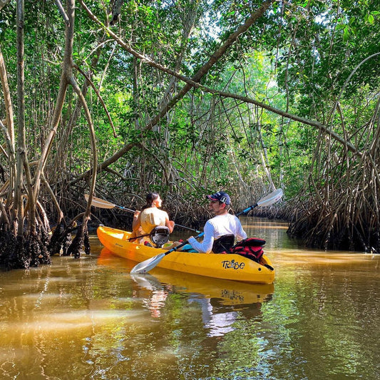 Recorrido por la Vida Silvestre El Naranjo: 3 horas - El Paredón, Guatemala