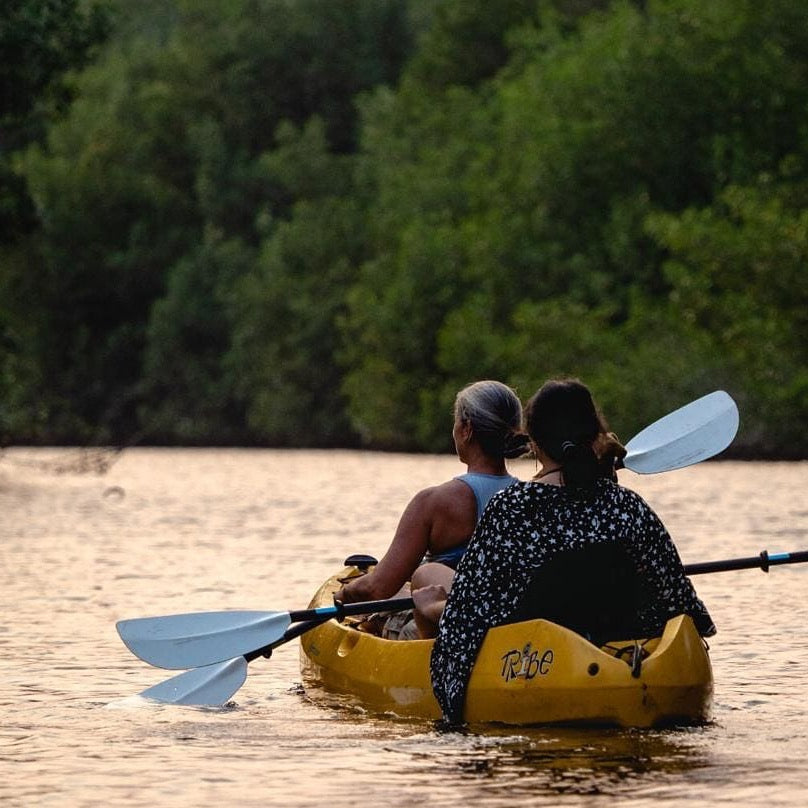 Tour de Tortugas Poza del Nance: 3.5 horas - El Paredón, Guatemala 