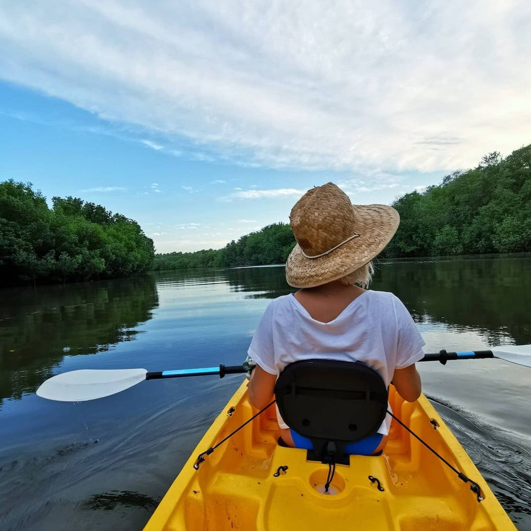 Tour de Tortugas Poza del Nance: 3.5 horas - El Paredón, Guatemala 