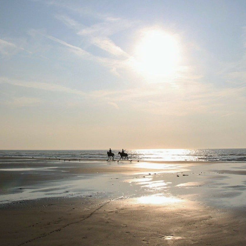Paseos a caballo en la playa - El Paredón, Guatemala 