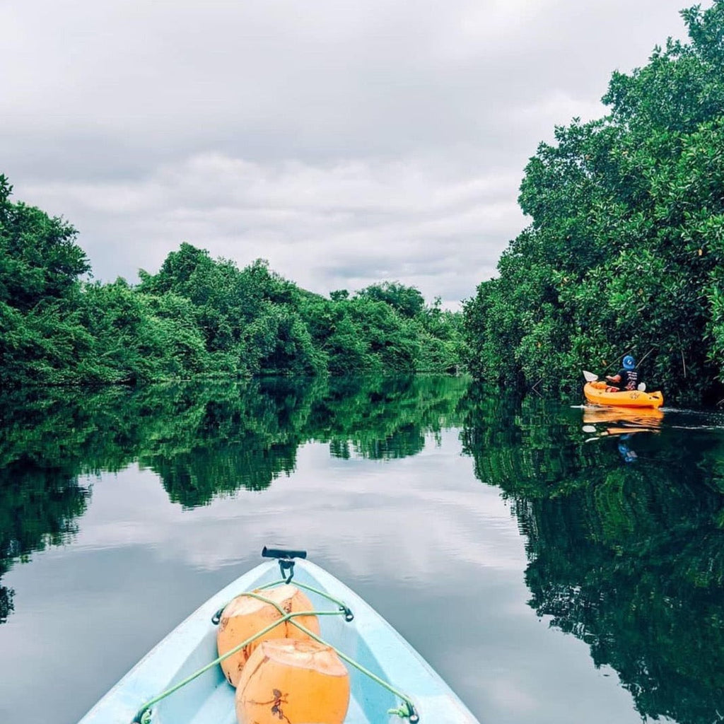 Recorrido por El Paredon: 90 minutos - El Paredón, Guatemala 
