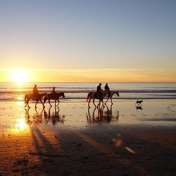 Paseos a caballo en la playa - El Paredón, Guatemala 