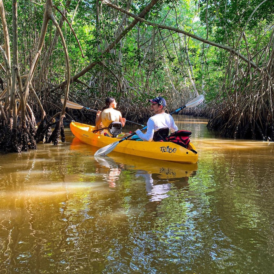 Alquiler de kayaks - El Paredón, Guatemala 