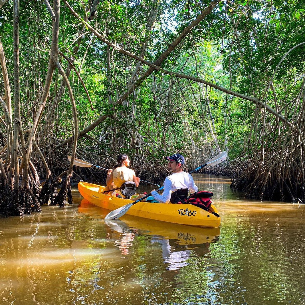 Recorrido por la Vida Silvestre El Naranjo: 3 horas - El Paredón, Guatemala 