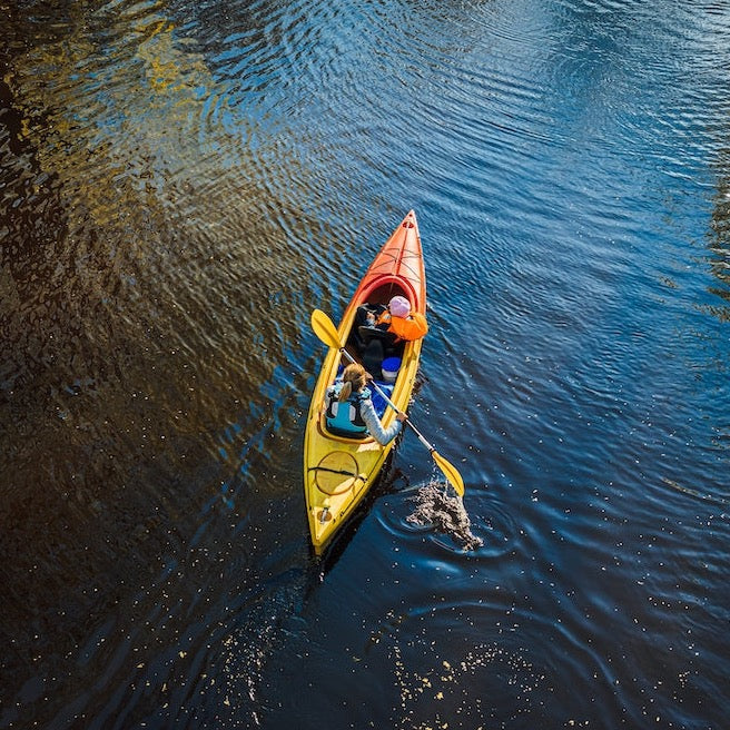 Recorrido por la Vida Silvestre El Naranjo: 3 horas - El Paredón, Guatemala 